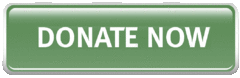 donate_now_button