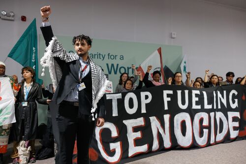 COP29 - credit  Bianka Csenki - The Artivist Network