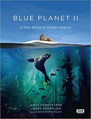 Blue Planet